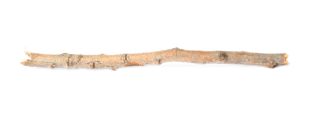 Old dry tree twig isolated on white
