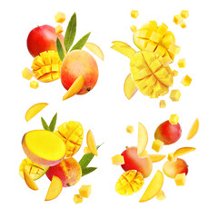 Set with delicious mango fruits and leaves falling on white background