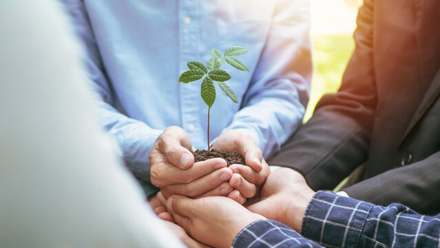 International Forest Day. Earth Day In the hands of trees growing seedlings. Bokeh green Background Female hand holding tree on nature field grass Forest conservation concept, reduce global warming. - Powered by Adobe
