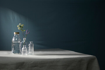 Stylish composition of home garden interior filled a lot of beautiful plants,  air plant in different design pots. Home gardening concept Home jungle. Copy spcae. Template