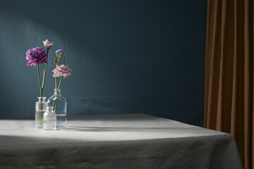 Stylish composition of home garden interior filled a lot of beautiful plants,  air plant in different design pots. Home gardening concept Home jungle. Copy spcae. Template