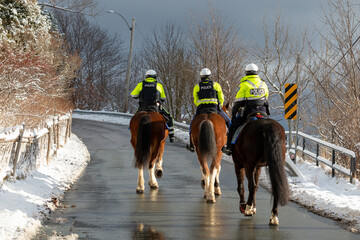 Three police officers of the mounted unit riding large horses on a street heading up a hill in...