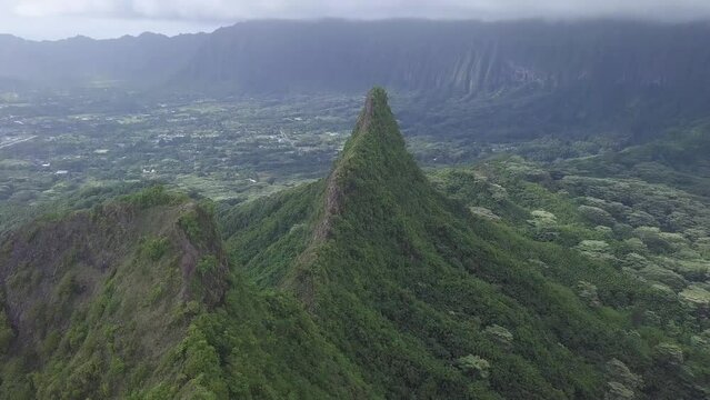 Jagged mountain cliff edges covered in Koa Trees and greenery in Hawaii Kai east Honolulu, Aerial tilt dolly