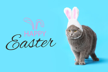 Easter greeting card with funny cat