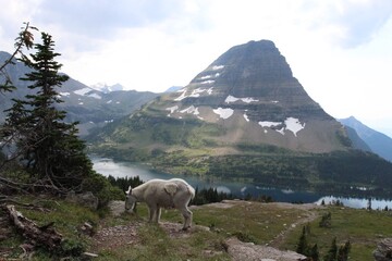 Glacier Park and Indian Days Browning 