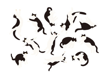 白黒猫が宙を舞うようにのびのぼ寝る　背景透明