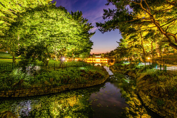Fototapeta na wymiar pond at night