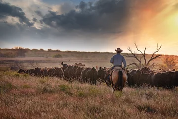 Abwaschbare Fototapete Dunkelbraun Texas Cowboy