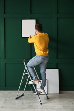 Young Man With Ladder Hanging Frame On Green Wall, Back View