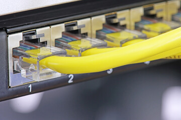 Ethernet sockets of the switch with yellow patch cords connected to them with an RJ45 connector.