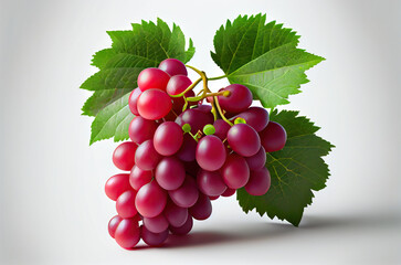 illustration of the grapes with leaves
