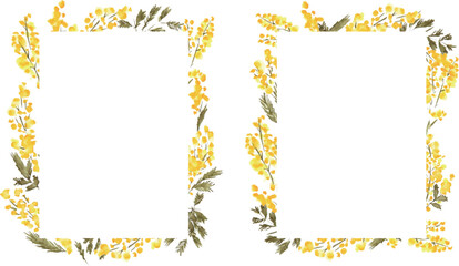 水彩画。水彩タッチのミモザベクターフレーム。水彩のミモザ装飾フレーム。Watercolor. Mimosa vector frame with watercolor touch. Mimosa decorative frame with watercolor.