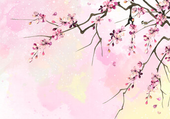 Cherry blossom sakura watercolor abstract background