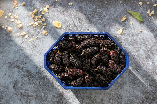 Sun rays falling on the fresh organic mulberry in bowl on grey blue stone kitchen background.