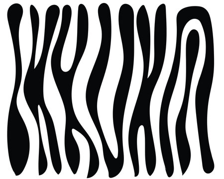 vector zebra skin texture.