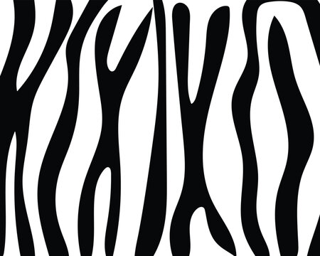vector zebra skin.