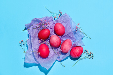 Composition with painted Easter eggs, gypsophila flowers and paper on color background