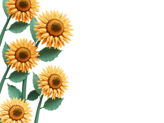3d Sunflower spring concept cutout