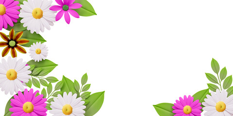 Chamomile flower spring concept cutout