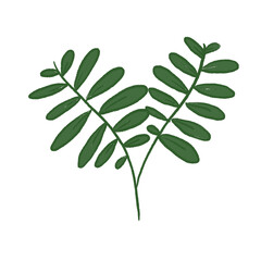Fototapeta na wymiar Green Leaf Illustration