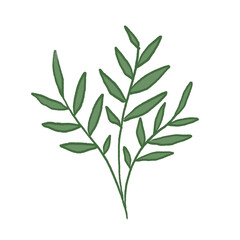 Green Leaf Illustration
