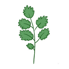 Green Leaf Illustration