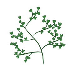 Green Leaf Illustration