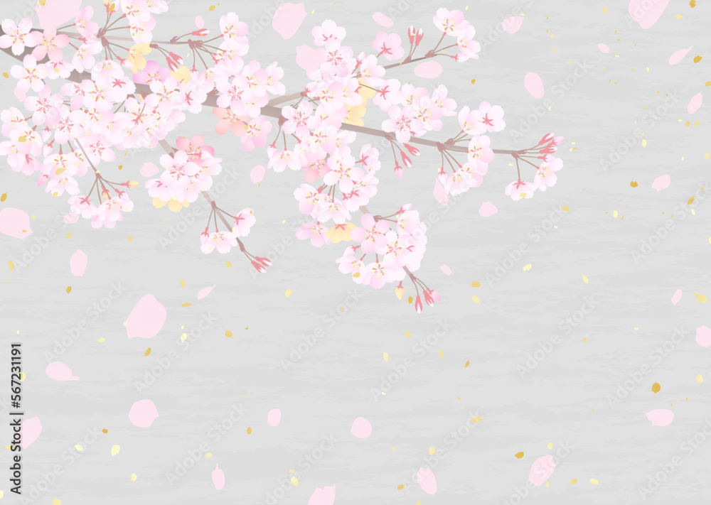 Wall mural 和紙のような背景に桜の枝と舞う花びらのイラスト