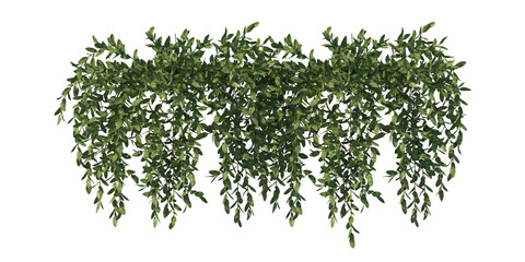 green grass isolated on white- vines light for daylight 3d render- cutout easy for use - obrazy, fototapety, plakaty