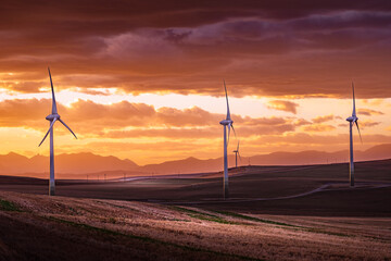 Windmills at sunset generating electricity overlooking distant mountains over agriculture fields near Pincher Creek Alberta Canada.