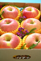 beautiful pink apple in the box on blue background