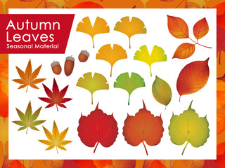 紅葉イラスト素材	
