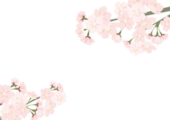Naklejka na ściany i meble 桜のフレーム