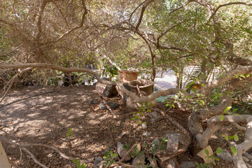 Decorative model of a broken cannon on the territory of the Botanical Garden in the Eilat city, southern Israel