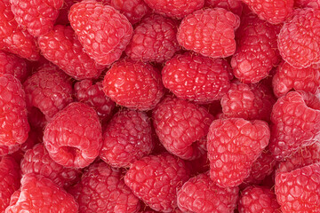 Raspberries. Fresh juicy raspberries bright background. Close-up.