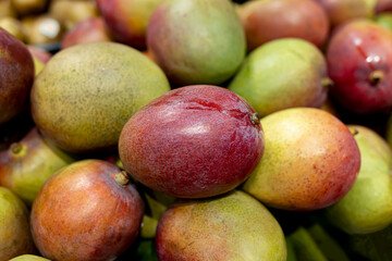 Mango.Background from ripe juicy mangoes. Shallow depth of field.