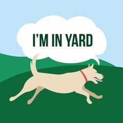 Pets are currently in the yard