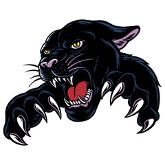 panther head angry vector illustration © Andryknw