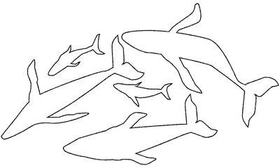 ザトウクジラのイラスト