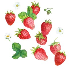 Falling juicy ripe strawberries with green leaves on a white background. Watercolor illustration for advertising juices, desserts, pastries.