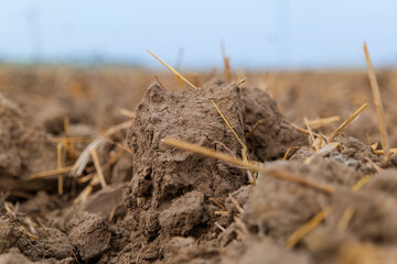 Village agriculture land preparation for cultivation