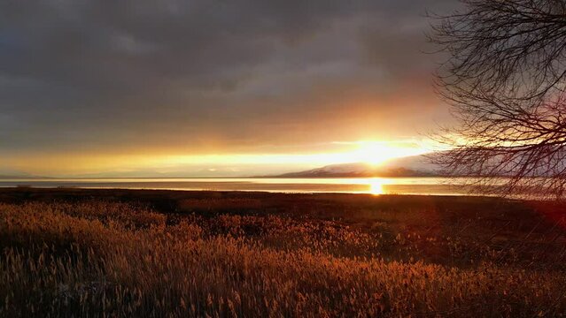 Aerial flying low over grassy reeds towards sunset on Utah Lake as sun peaks through the horizon.