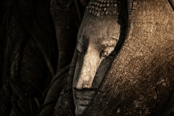 close up of a old bhuddha in the tree roots