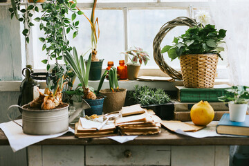 Vintage cupboard on veranda on sunny spring day decorated with flowers, Easter retro decor and willow branches, Easter family celebration