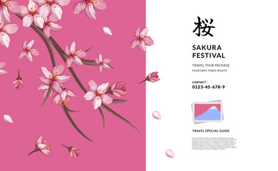 Fototapeta na wymiar Sakura Flower Cherry blossom natural japan asian tour travel abroad poster banner greeting card (text Translation = cherry blossom flower)