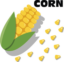 illustration of a corn , corn pile, corn for teaching, power point , banner , flyer, poster, corn soup, brochure, and comercial use
