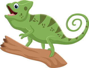 Cute chameleon cartoon on tree branch