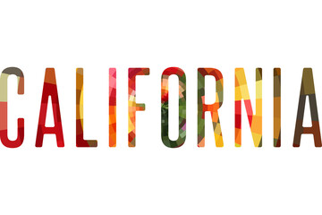 An isolated illustration of colorful lettering  of California. California Colorful name of USA state. Tourism related items.