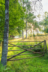 Meadow in the woodland with sunlight and a gate
