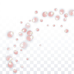 Pink Vector Realistic Petals Falling on Transparent Background.  Spring Romantic Flowers Illustration. Flying Petals. Sakura Spa Design. Blossom Confetti. Design Elements for Wedding Decoration.
